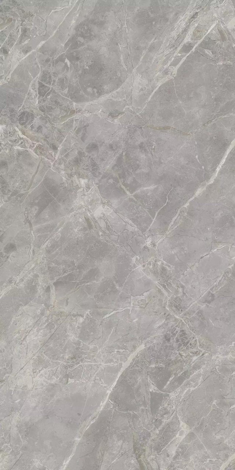 建材市场风向标：批发趋势与行业洞察
